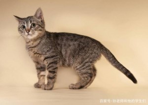 孙老师和他的学生们：营销之后要学什么？