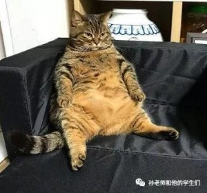 孙老师和他的学生们：想象的力量